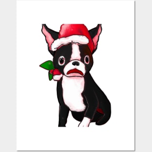 Cute Boston Terrier Drawing Posters and Art